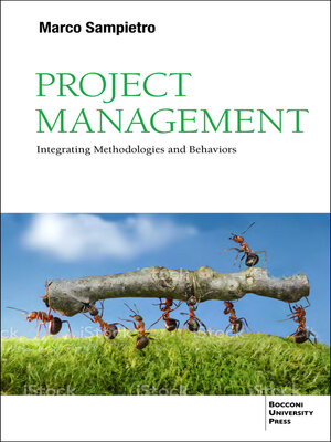 cover image of Project Management